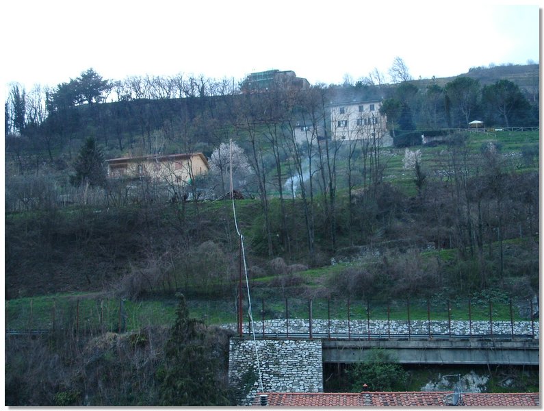 NearLucca060.jpg